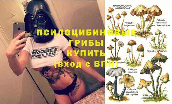 гашиш Инсар