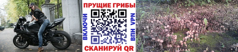 Галлюциногенные грибы мицелий  сайты даркнета формула  Серпухов 