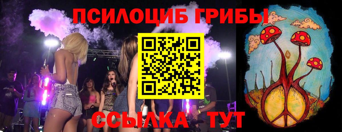 Псилоцибиновые грибы мицелий Серпухов