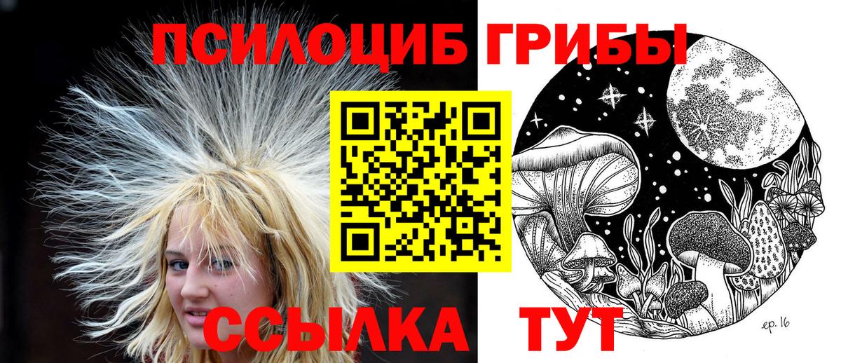 Галлюциногенные грибы ЛСД  продажа наркотиков  Серпухов  Вход с VPN  Галлюциногенные грибы мицелий 